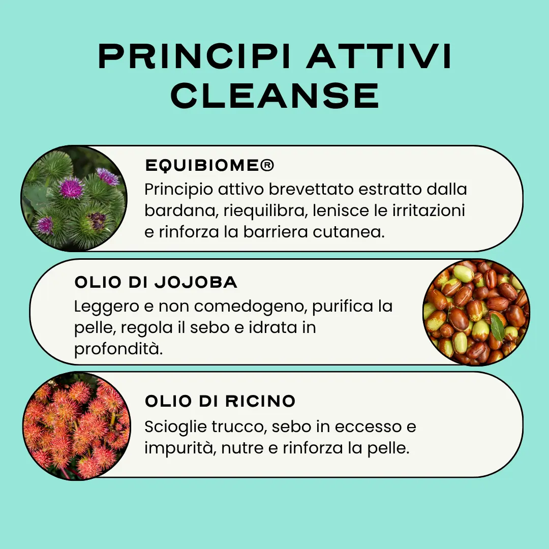 CLEANSE. - Image 3
