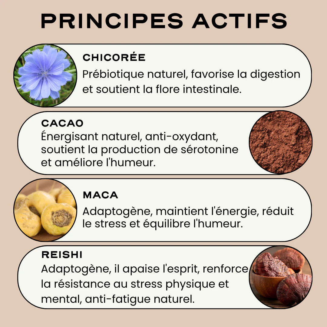 MOCHA RITUAL - Image 3