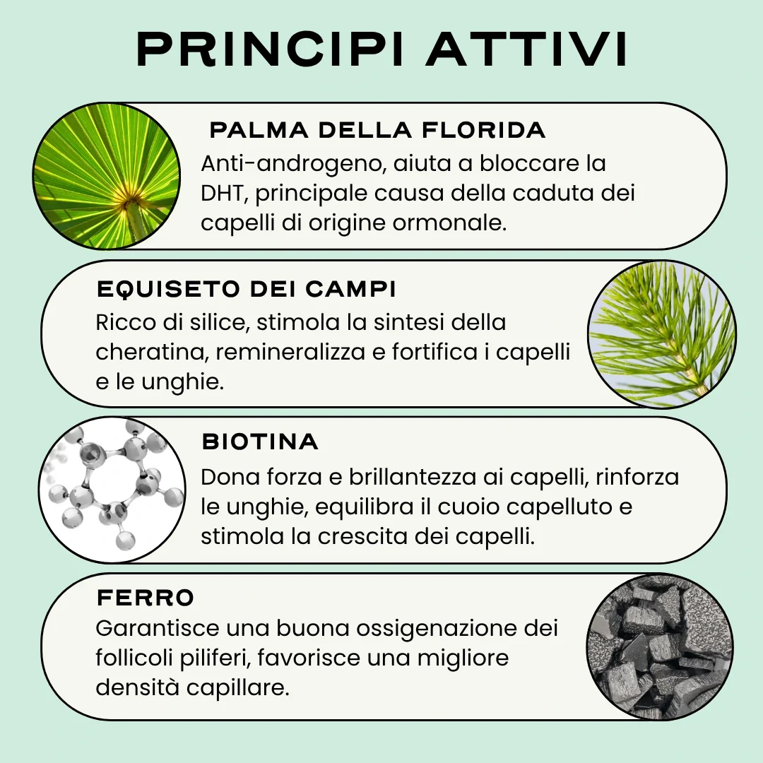 GROW. '25 - Image 3