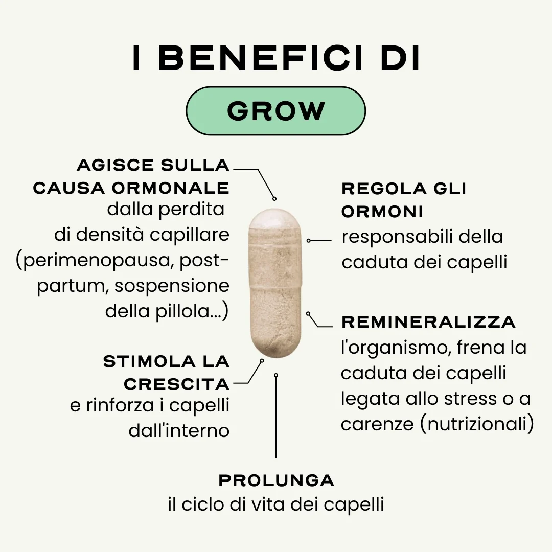 GROW. '25 - Image 8