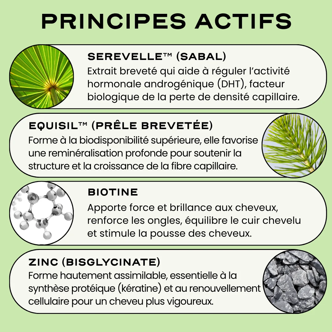 GROW - Image 5
