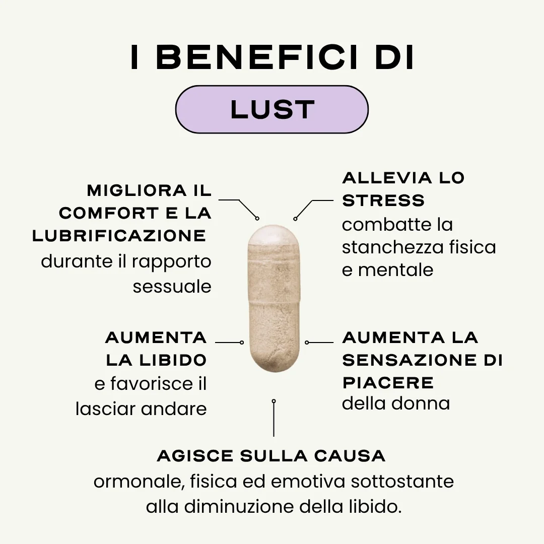 LUST. '25 - Image 2
