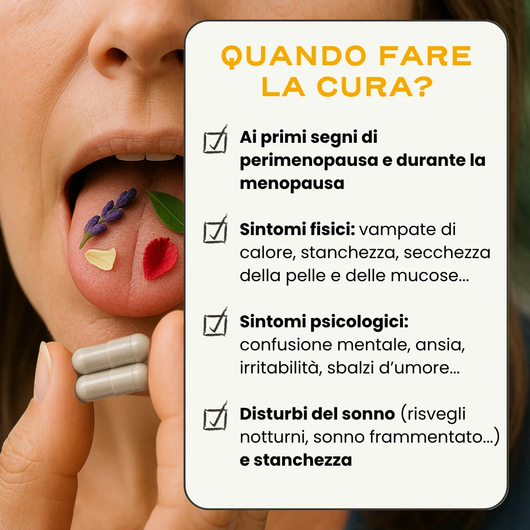 MENO. '25 - Image 6
