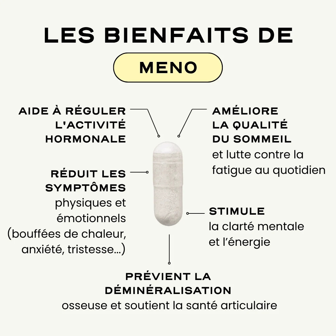 MENO '25 - Image 3