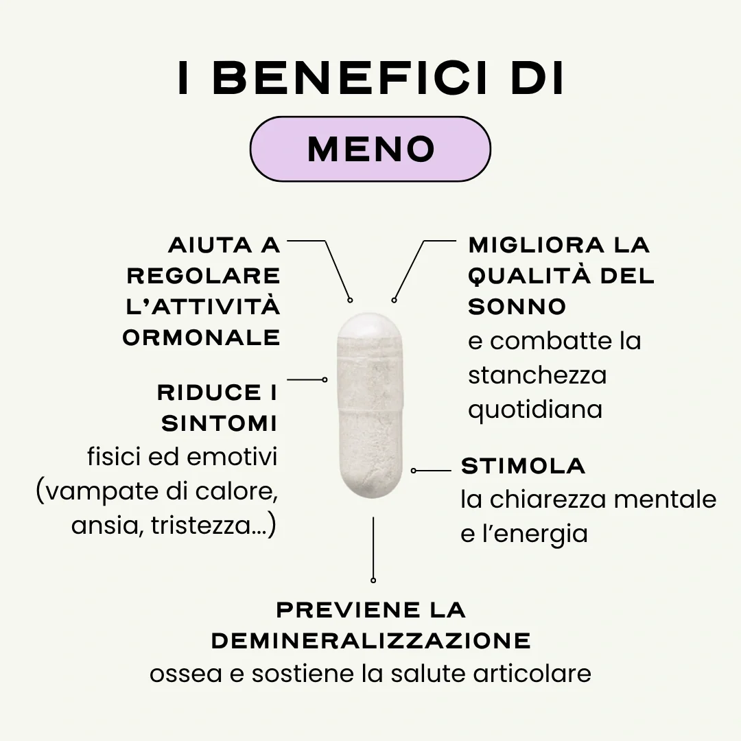 MENO. - Image 3