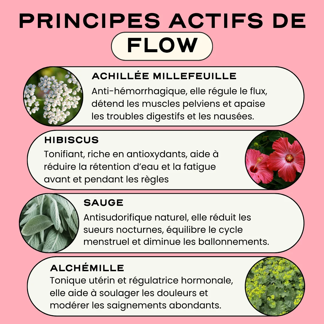 Duo Rééquilibrage & Flow - Image 7